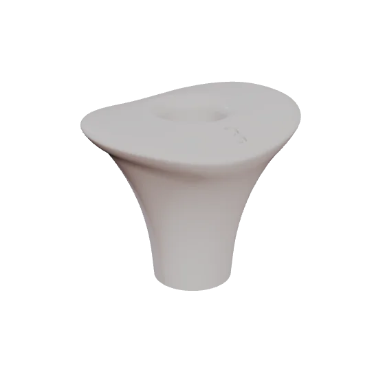 PEP 02, lower second molar, seen in 3D
