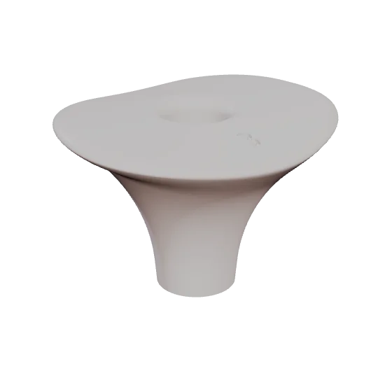 PEP 03, lower first molar, seen in 3D