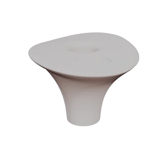 PEP 04, upper first molar, seen in 3D