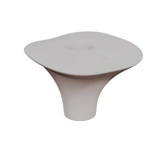 PEP 14, upper first molar, seen in 3D