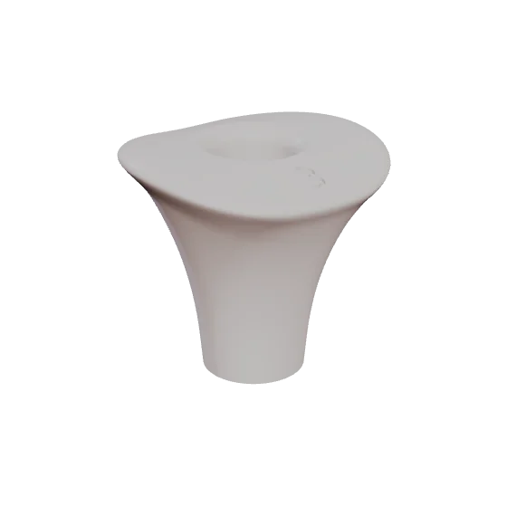 PEP 15, upper central incisor, seen in 3D