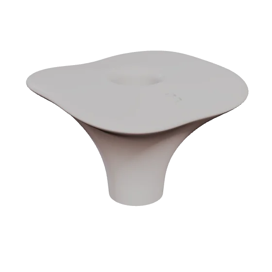 PEP 19, upper first molar, seen in 3D