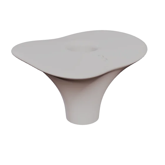 PEP 25, lower first molar, seen in 3D