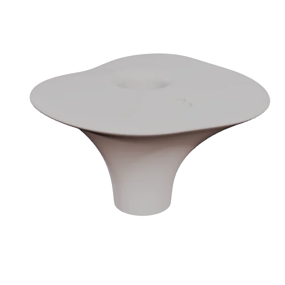 PEP 29, upper first molar, seen in 3D