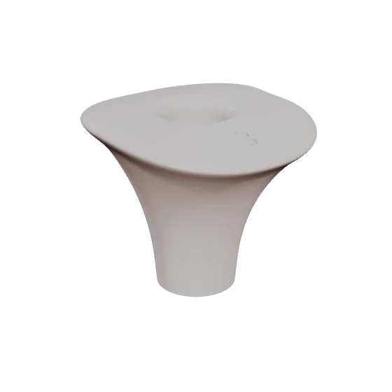 PEP G05, premolar, first or second, upper or lower, seen in 3D