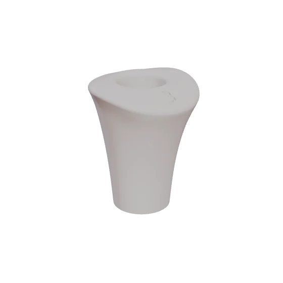 PEP N02, upper lateral incisor, seen in 3D