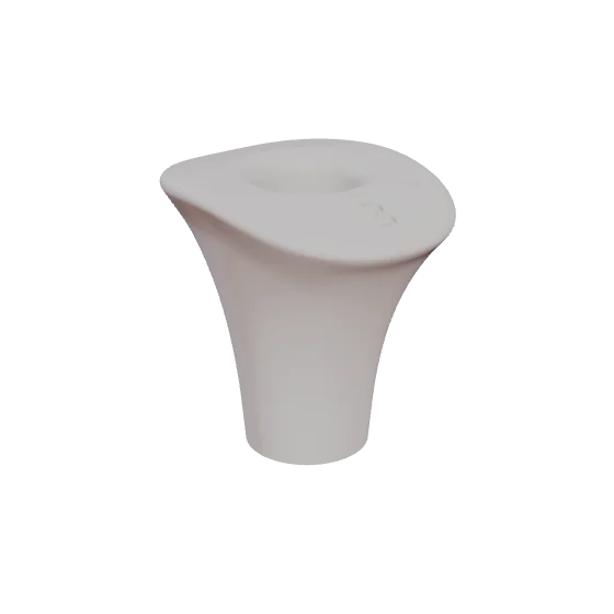 PEP P5, lower second premolar, seen in 3D